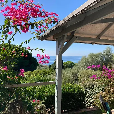 Chez Jean Claude La Villa Des Amis Olmeto  Exterior photo