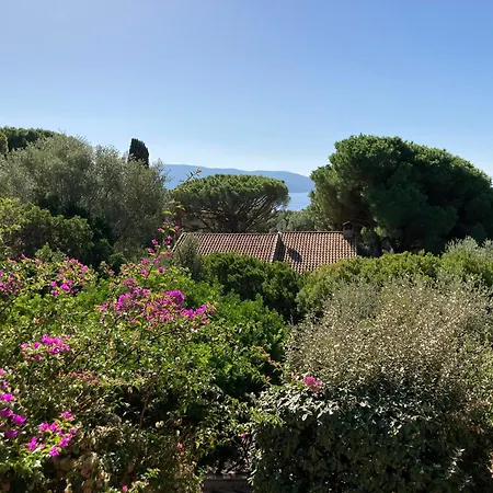 Chez Jean Claude La Villa Des Amis Olmeto  Exterior photo