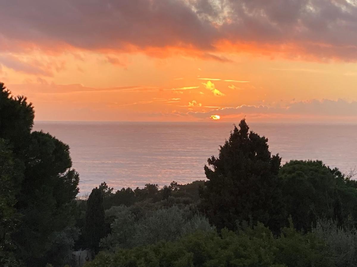 Chez Jean Claude La Des Amis Olmeto (Corsica)