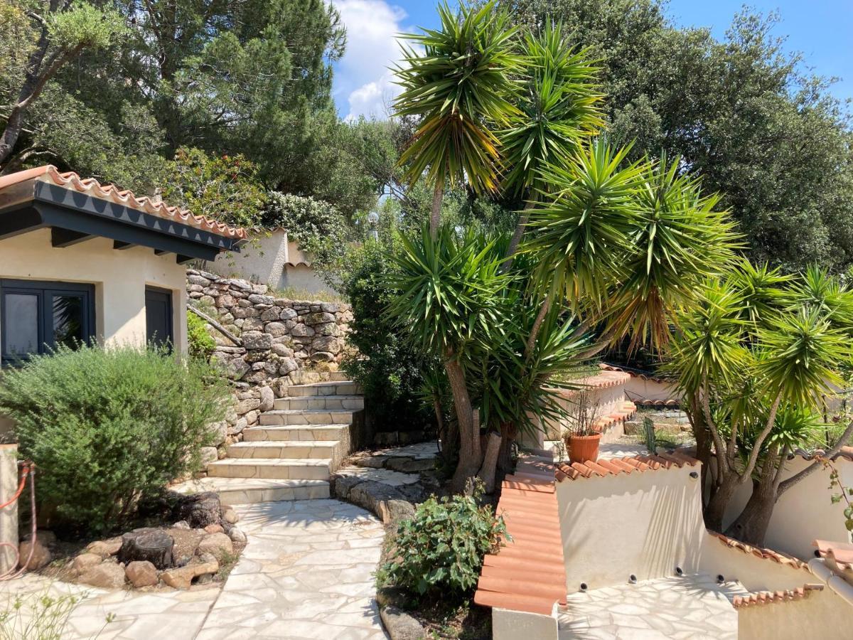 Apartment Chez Jean Claude La Des Amis