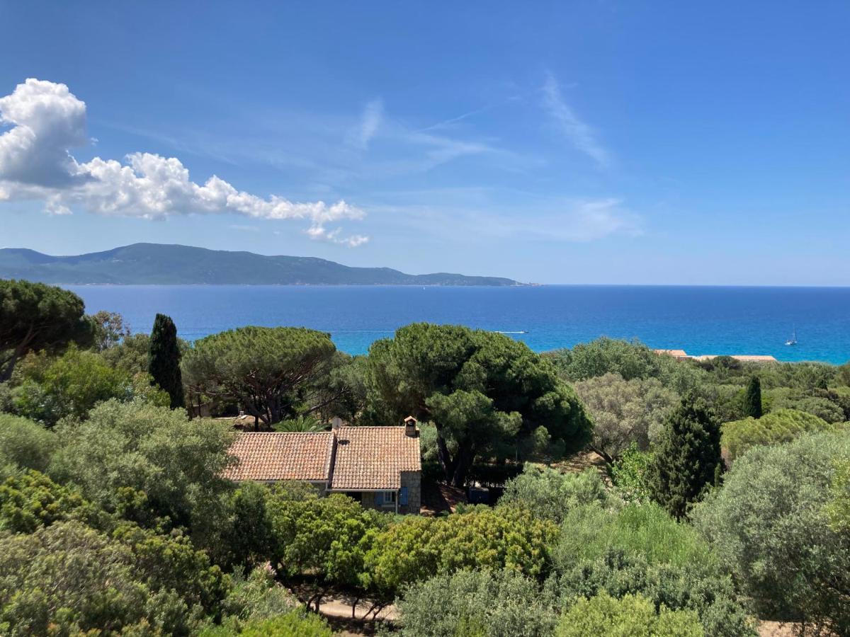 Chez Jean Claude La Des Amis * Olmeto (Corsica)