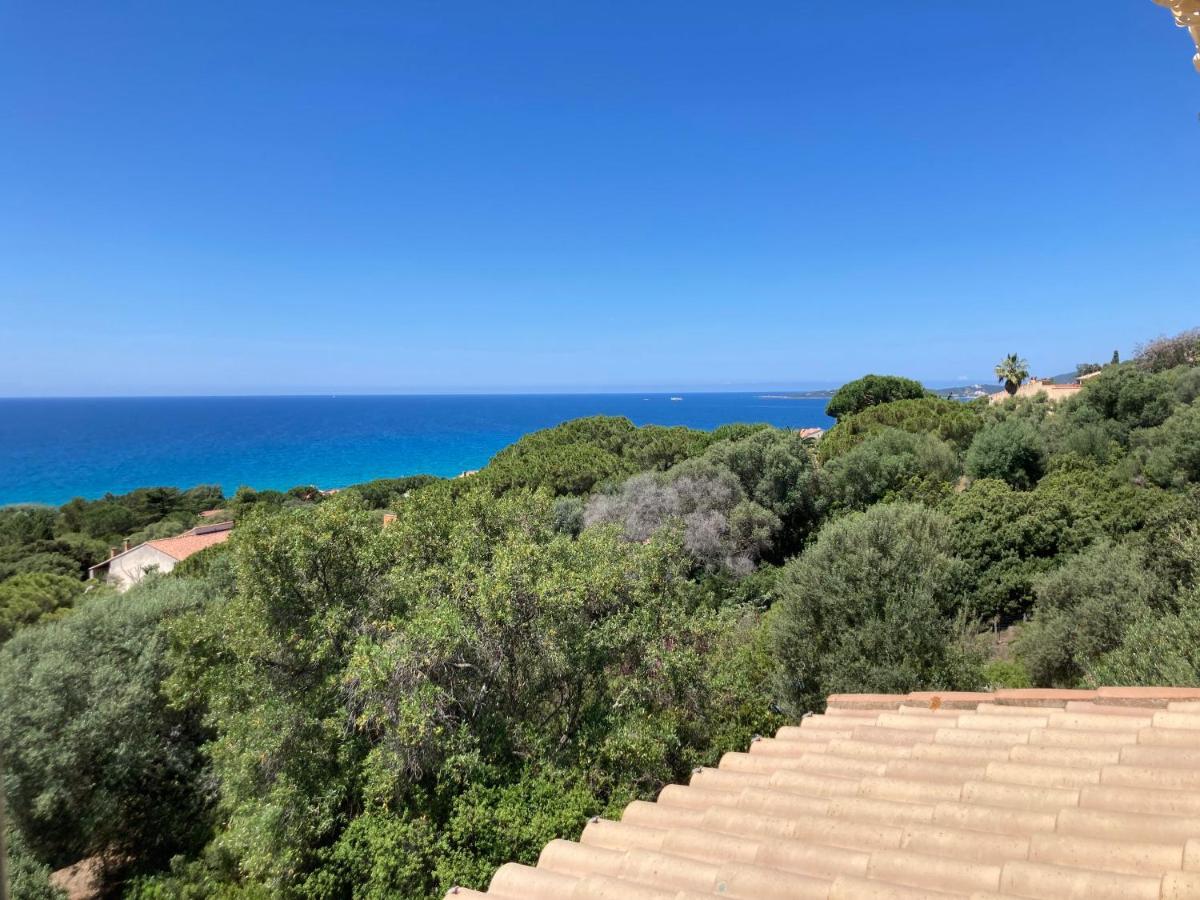 Apartment Chez Jean Claude La Des Amis Olmeto (Corsica)